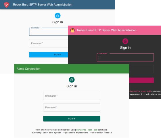 Web admin customization example