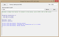 FileServerWinForm - GUI SFTP server screenshot