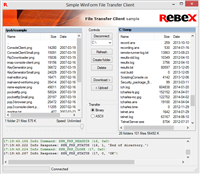 FileTransfer WinFormClient - universal FTP/SSL and SFTP client screenshot