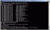 Console FTP client screenshot