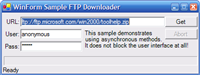 WinFormGet - GUI FTP downloader screenshot