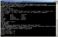 IMAP console client screenshot
