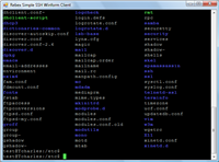 SimpleWinFormClient - simple GUI SSH client screenshot