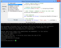 TerminalScriptingWinForm - GUI SSH and telnet client scripting sample screenshot